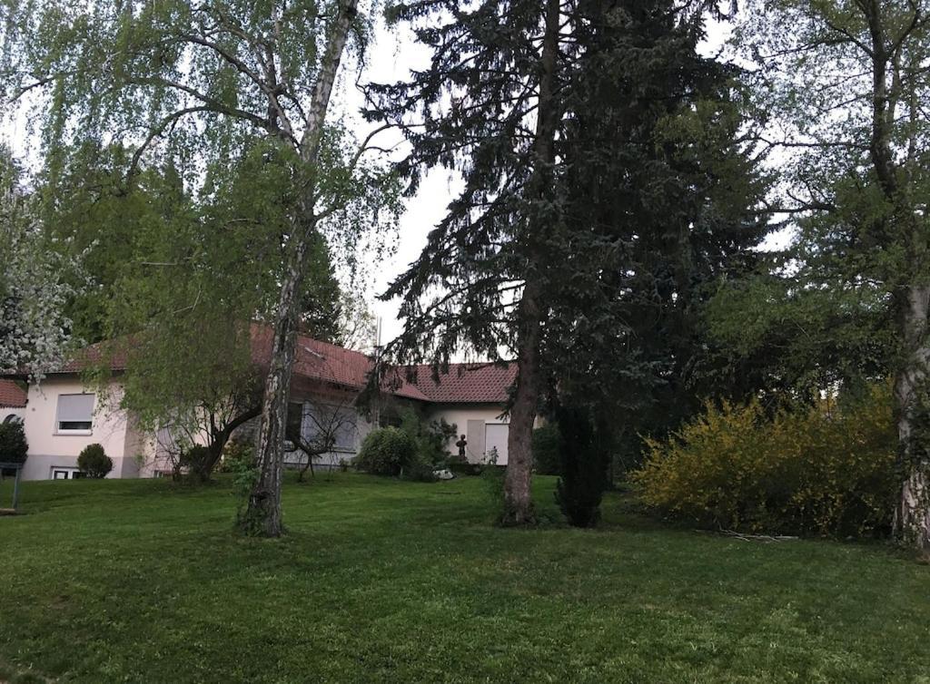 Schoene Ferienwohnung 2,5 Zimmer In Stadtnaehe Mit Eigenem Hofgarten Balingen Ngoại thất bức ảnh